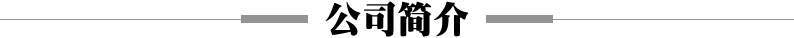 公司簡介